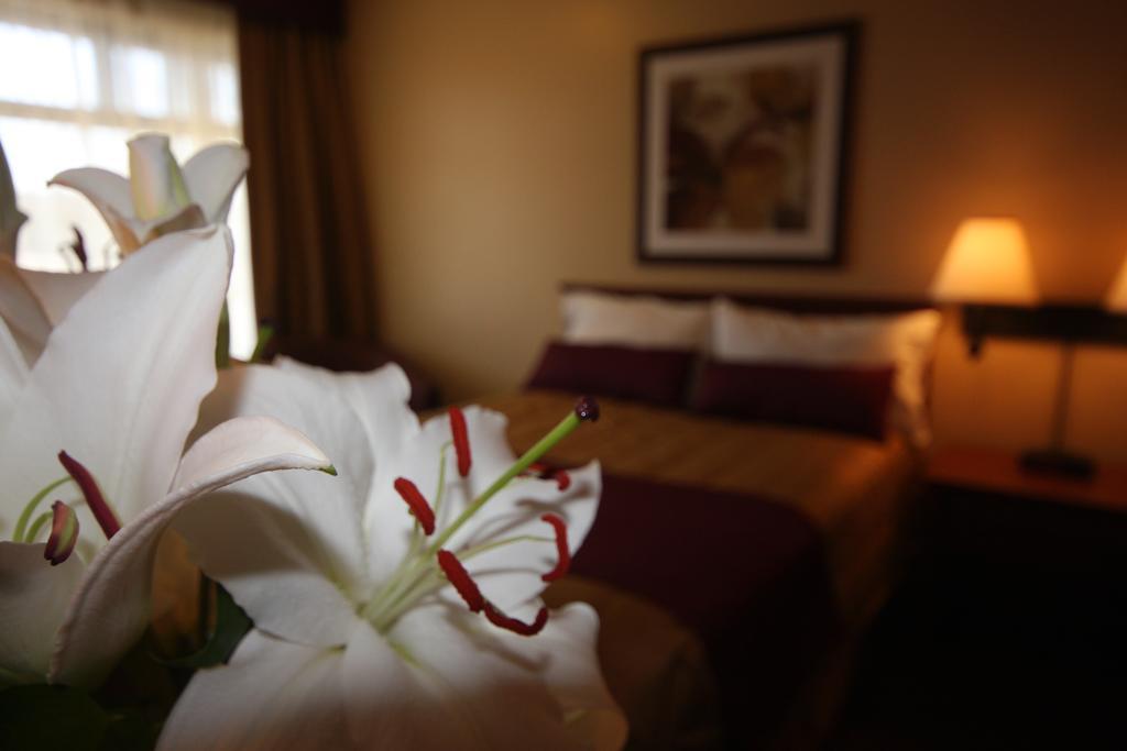 גטינו Motel Adam חדר תמונה